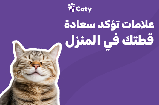 علامات تؤكد سعادة قطتك في المنزل 🐱💜